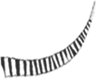baffo 1