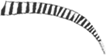 baffo2